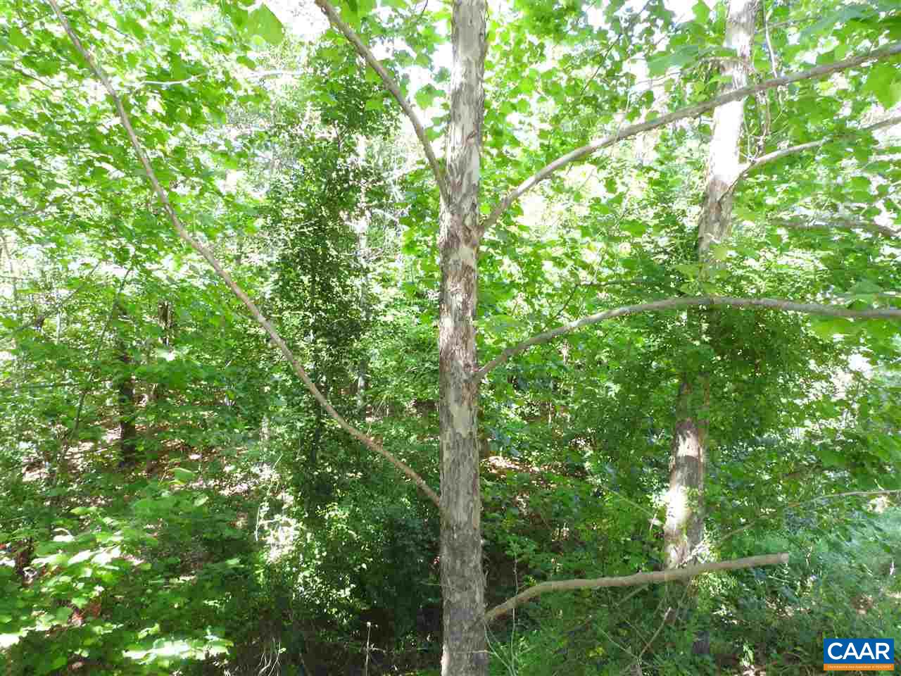 30 Guildford Farm Road Ruckersville, VA 22968 - Photo 3 of 9 a view of a lush green forest