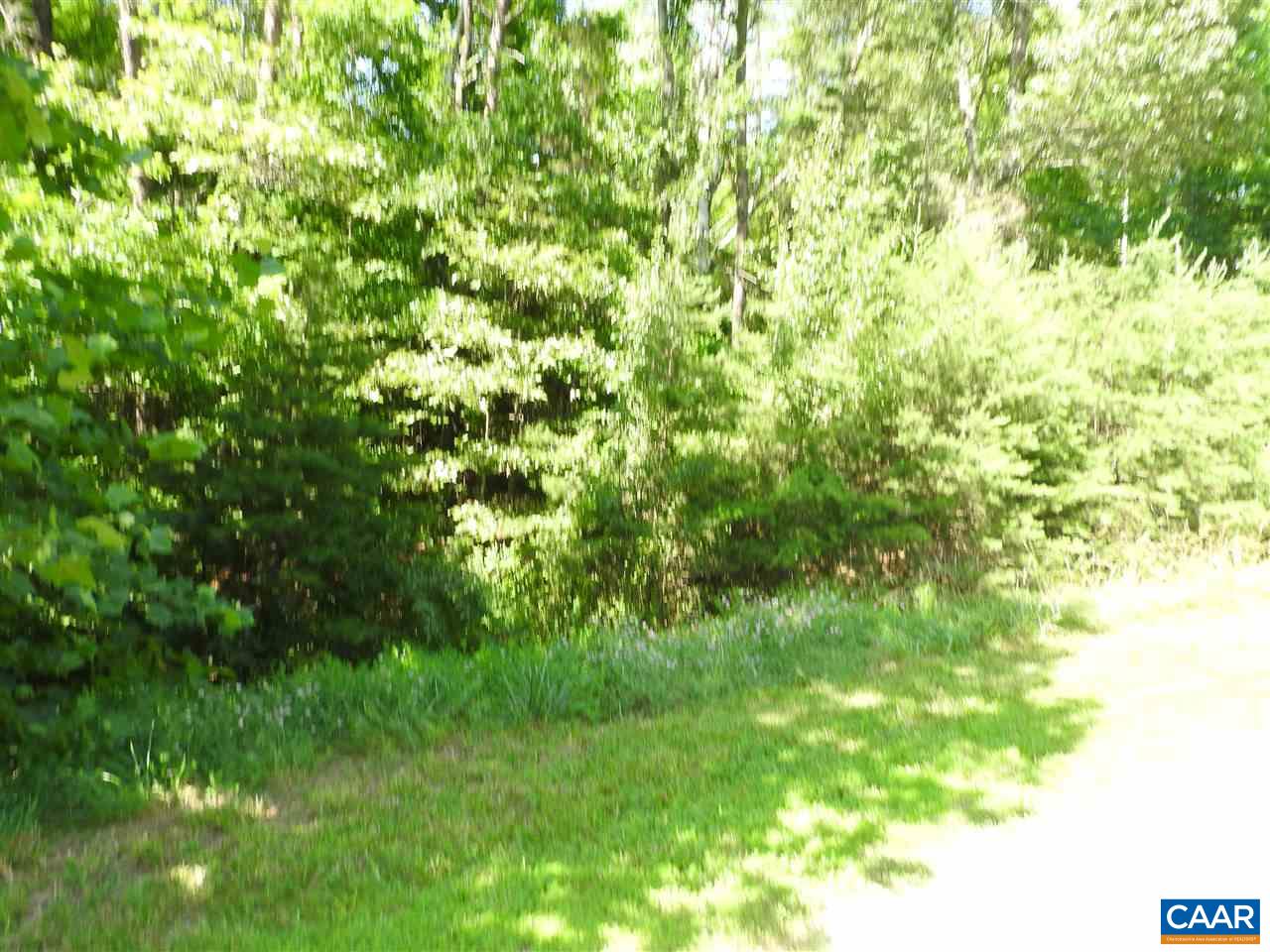30 Guildford Farm Road Ruckersville, VA 22968 - Photo 4 of 9 a view of a lush green forest