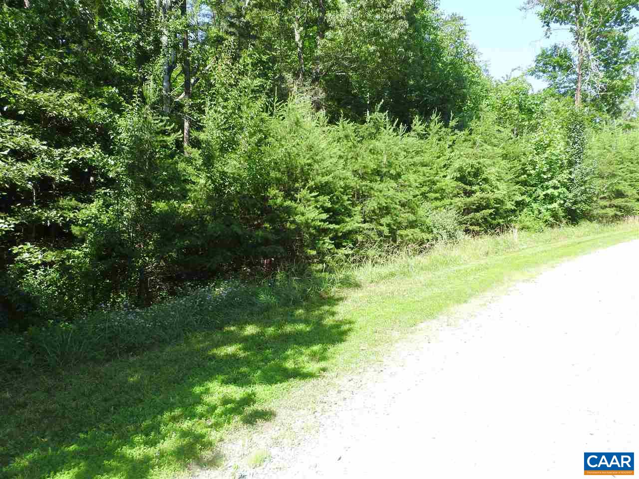 30 Guildford Farm Road Ruckersville, VA 22968 - Photo 5 of 9 a view of a yard with a tree