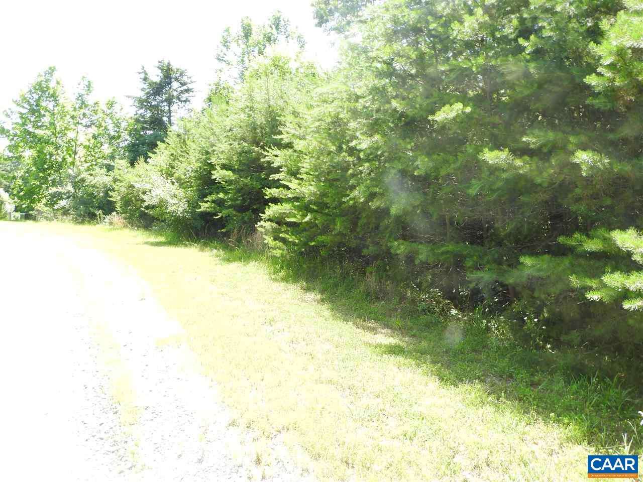 30 Guildford Farm Road Ruckersville, VA 22968 - Photo 6 of 9 a view of lake view and mountain view