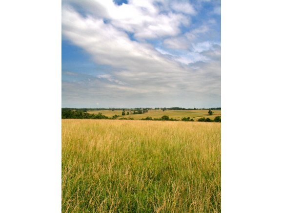 Lot 7 West County Line Road Republic, MO 65738 - Photo 1 of 1 Primary Photo