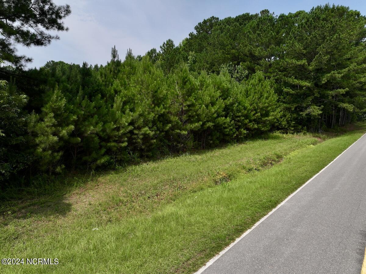 0 Woodruff Road Selma, NC 27576 - Photo 32 of 42 32