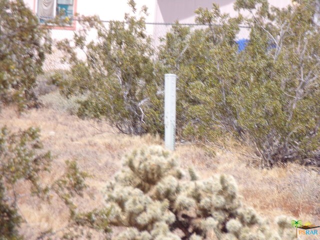 17 Dillon Road Desert Hot Springs, CA 92240 - Photo 3 of 7 Telephone Services Box