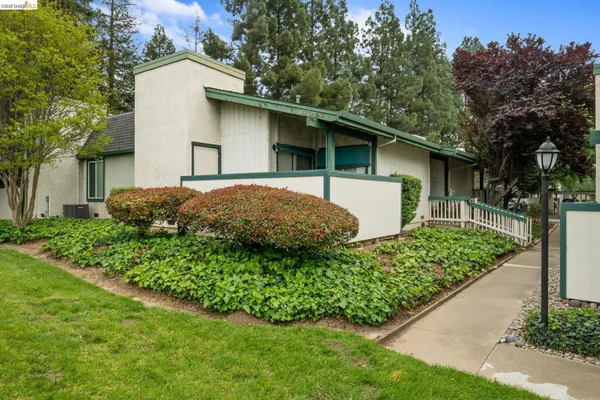 a view of a house with a yard and plants