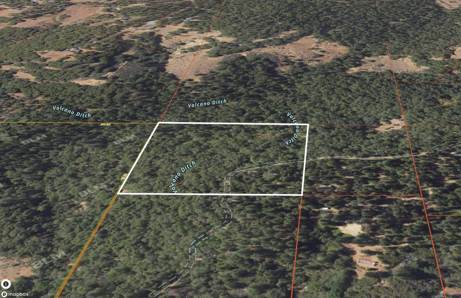 24100 Canterbury Road Pioneer, CA 95666 - Photo 3 of 3 a backyard of a house with lots of green space