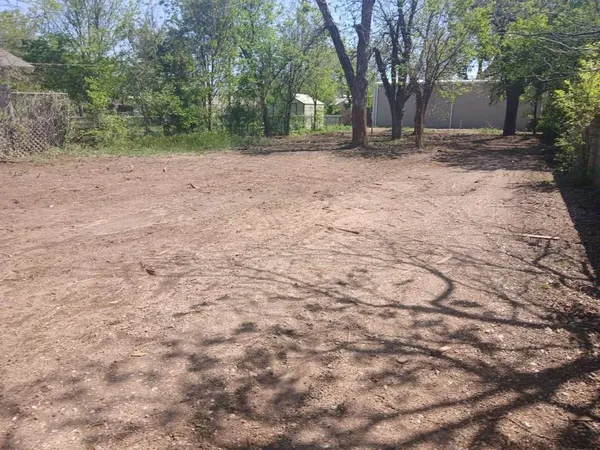a view of a backyard with large trees