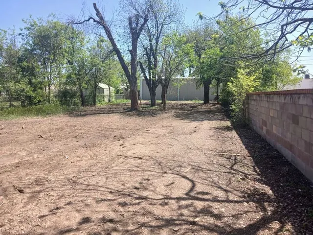 a view of a yard with plants and trees