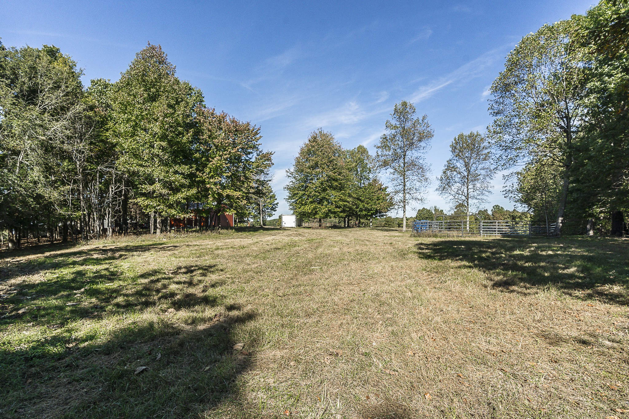 182 Calvert Ridge Road Westmoreland, TN 37186 - Photo 43 of 50 a view of a yard with an trees