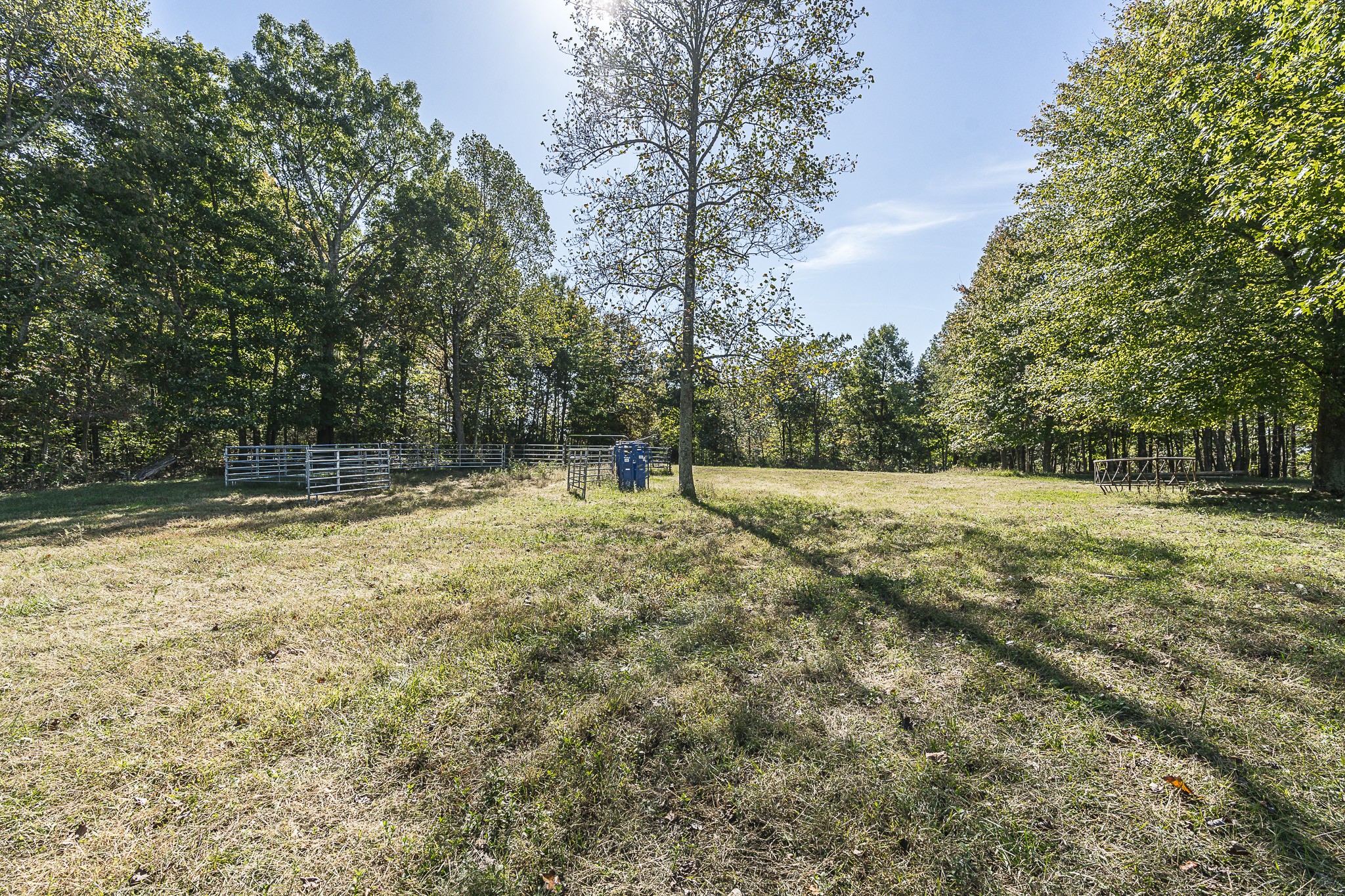 182 Calvert Ridge Road Westmoreland, TN 37186 - Photo 45 of 50 a backyard of a house with lots of green space