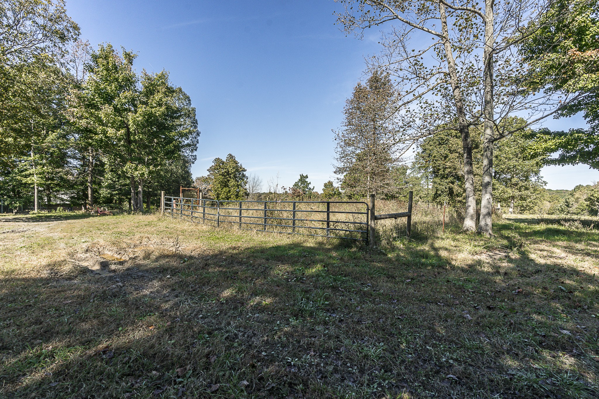 182 Calvert Ridge Road Westmoreland, TN 37186 - Photo 46 of 50 a view of a field with trees