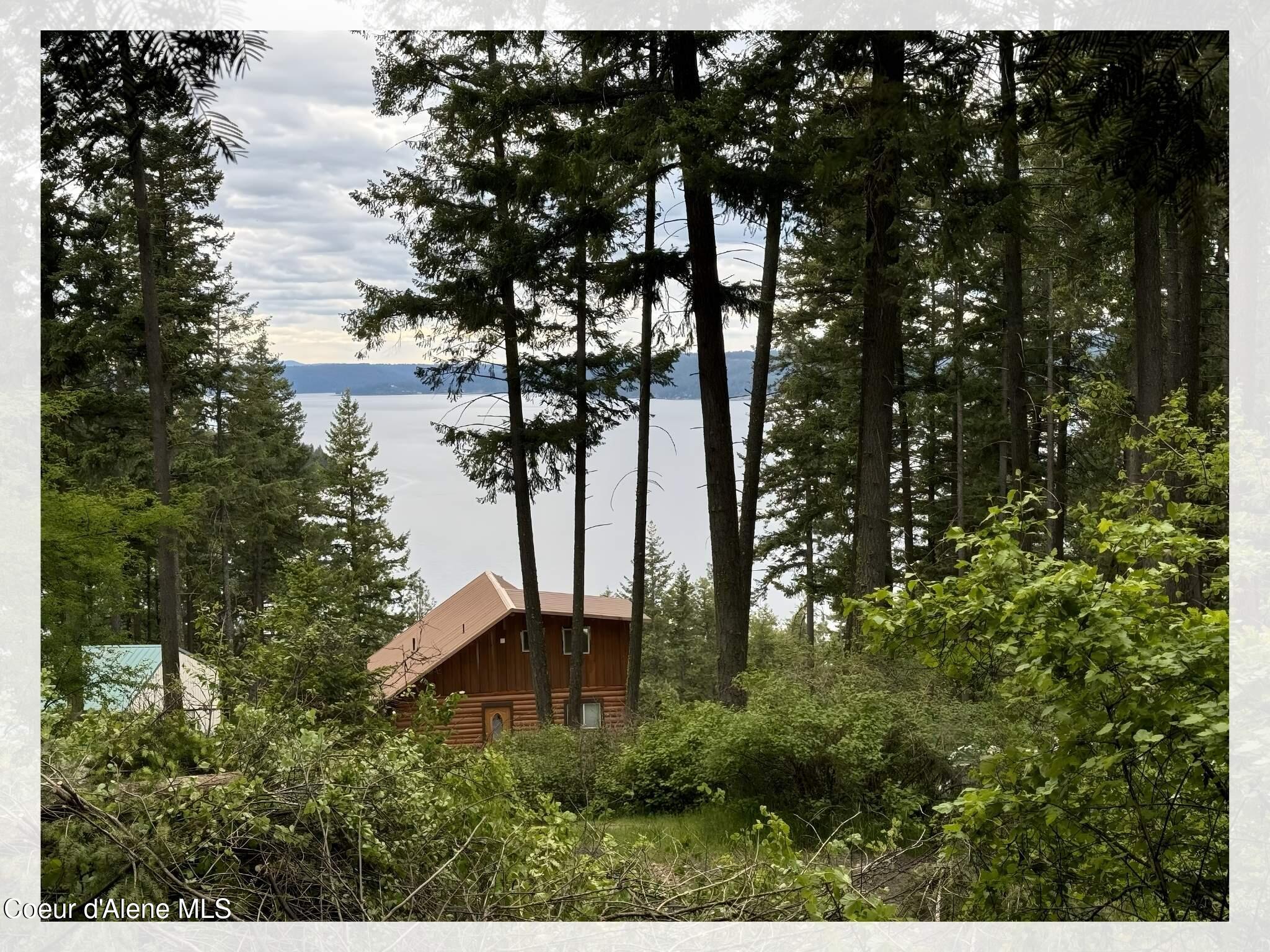 Lt1-blk1 South Hanson Road Harrison, ID 83833 - Photo 11 of 28 view standing on property