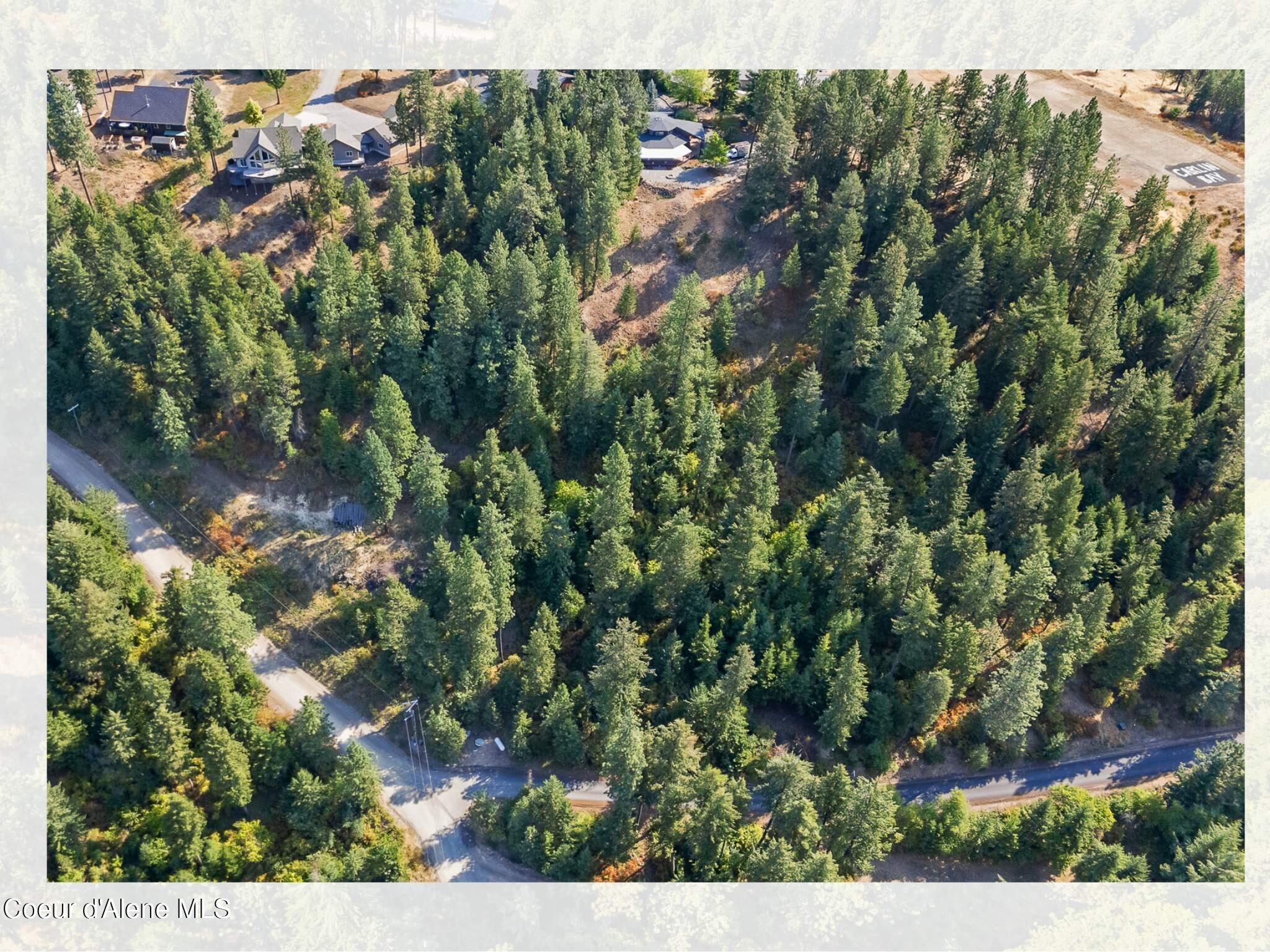 Lt1-blk1 South Hanson Road Harrison, ID 83833 - Photo 9 of 28 Property