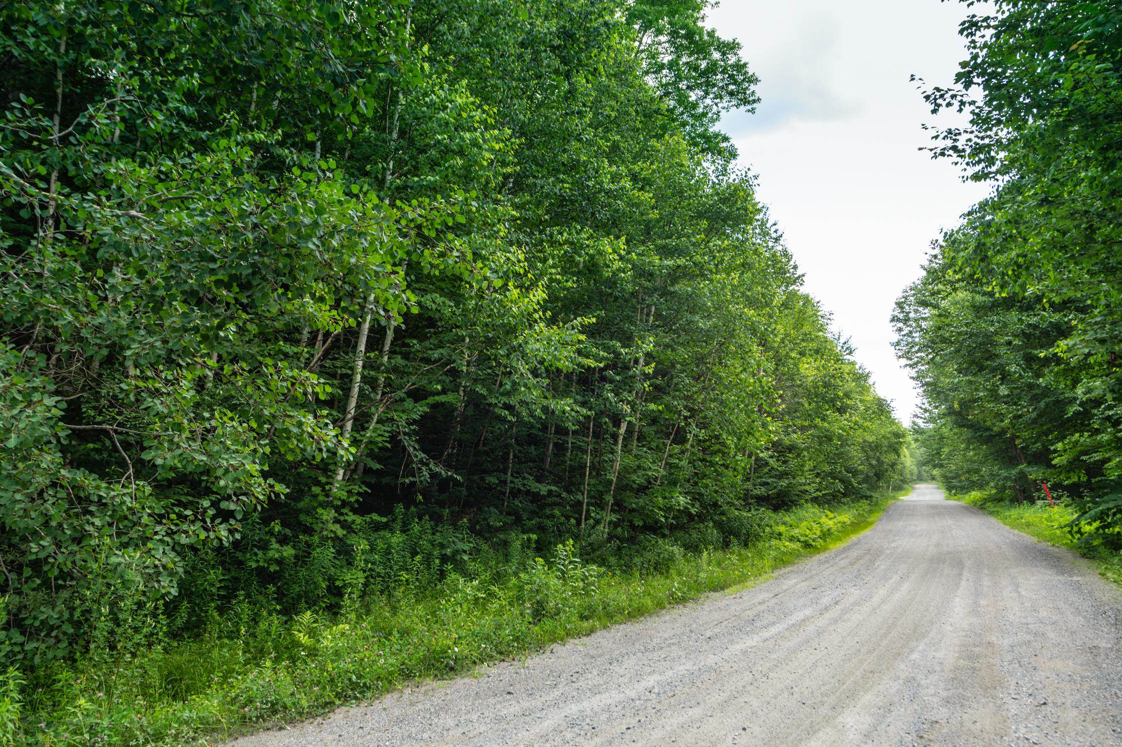 31 Woodsman Road West Dover, VT 05356 - Photo 2 of 4
