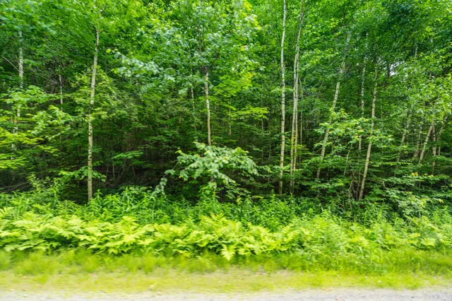 $55,000 | 31 Woodsman Road, West Dover, VT 05356