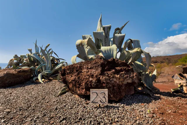 a view of a vase of flowers sitting on a table