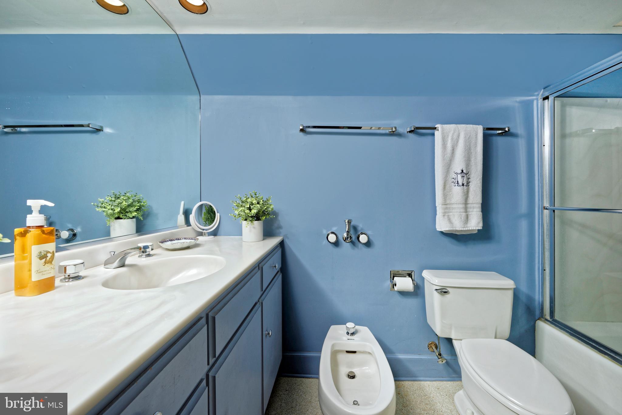 33195 Millville Road Upperville, VA 20184 - Photo 28 of 76 Primary bath with tub-shower combo and a skylight