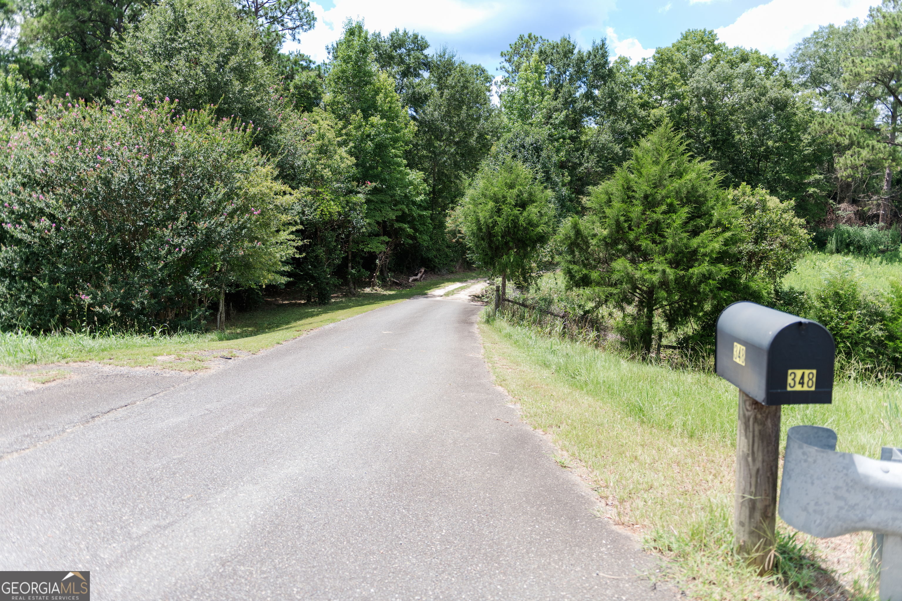 348 Americus Highway Butler, GA 31006 - Photo 59 of 59 a view of a garden with a bench