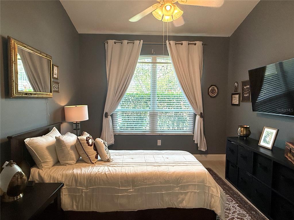 10501 Rochester Way Tampa, FL 33626 - Photo 25 of 45