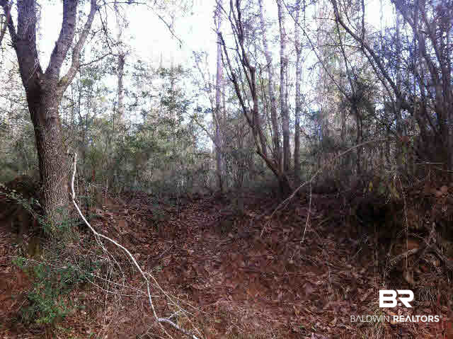 3 Red Cloud Road Baker, FL 32531 - Photo 12 of 14