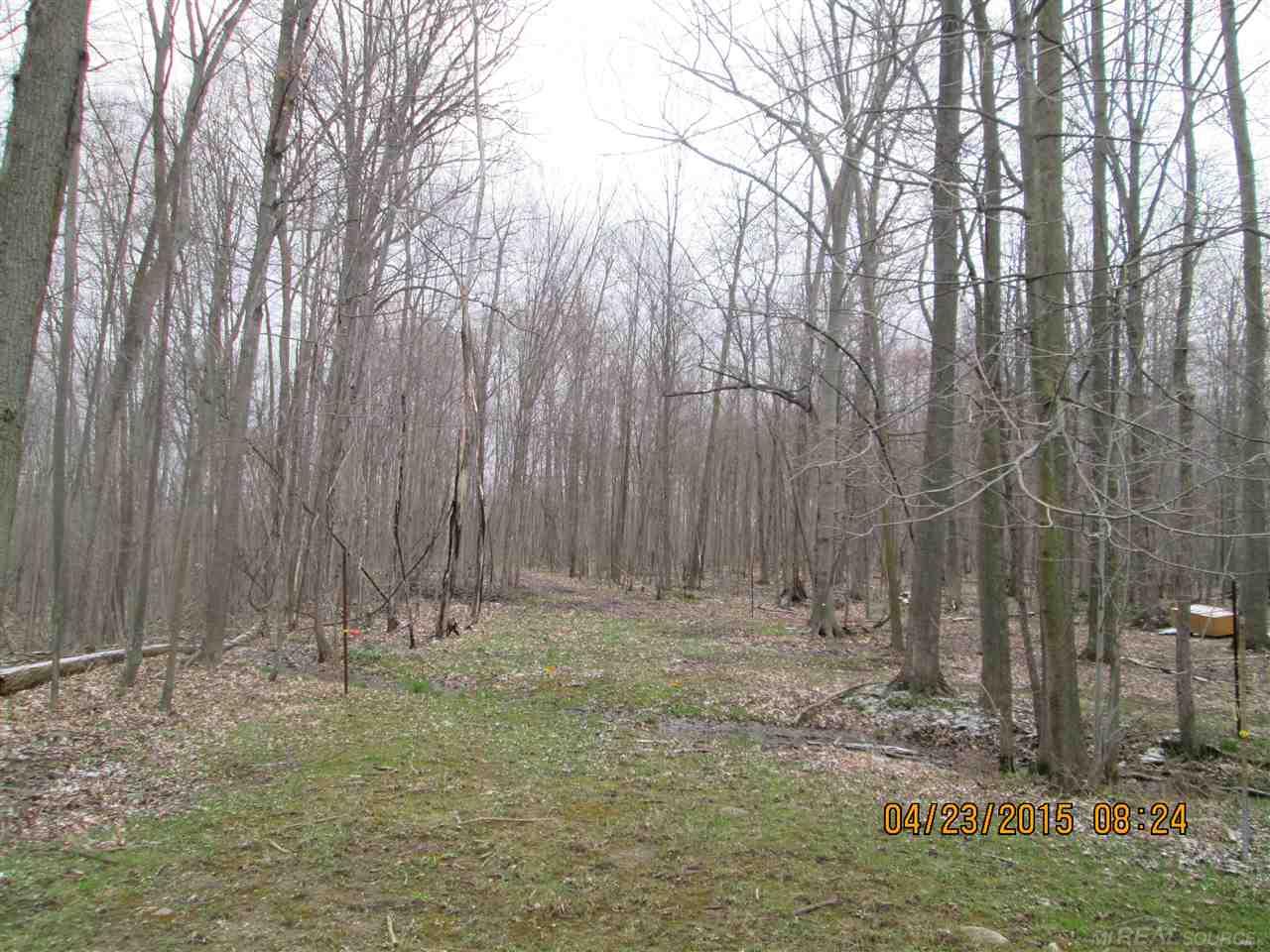 4696 Brown Road Avoca, MI 48006 - Photo 32 of 74