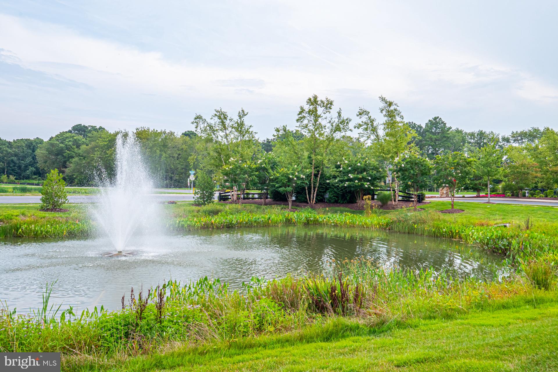 32064 Dean Street Lewes, DE 19958 - Photo 57 of 63