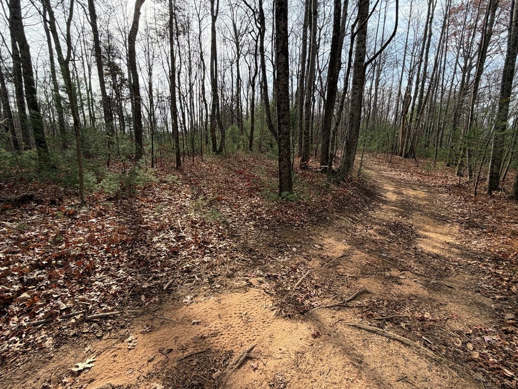 Tbd Caution Tape Road Cana, VA 24317 - Photo 15 of 27 Gallery Image 15