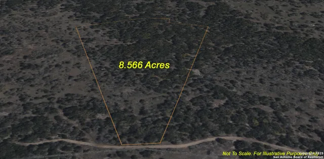 a view of a dry yard