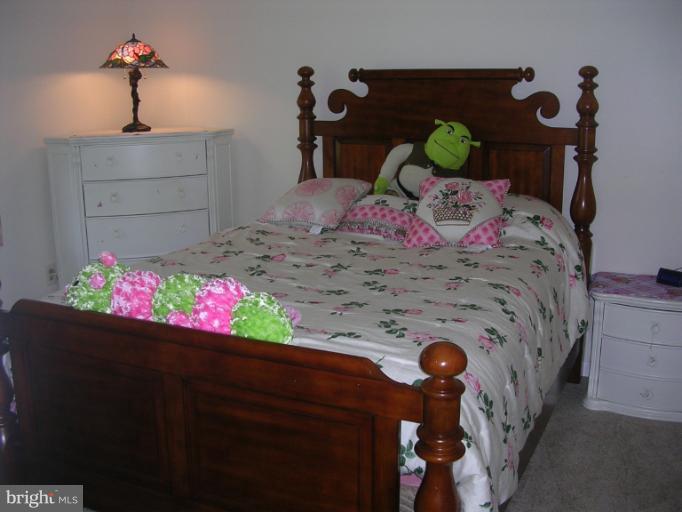 7606 Fairplay Road Boonsboro, MD 21713 - Photo 8 of 20 Bedroom 2