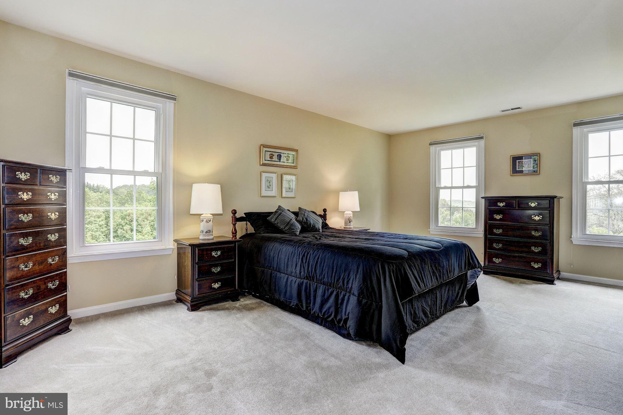 4524 Rutherford Way Dayton, MD 21036 - Photo 13 of 30 Master Suite