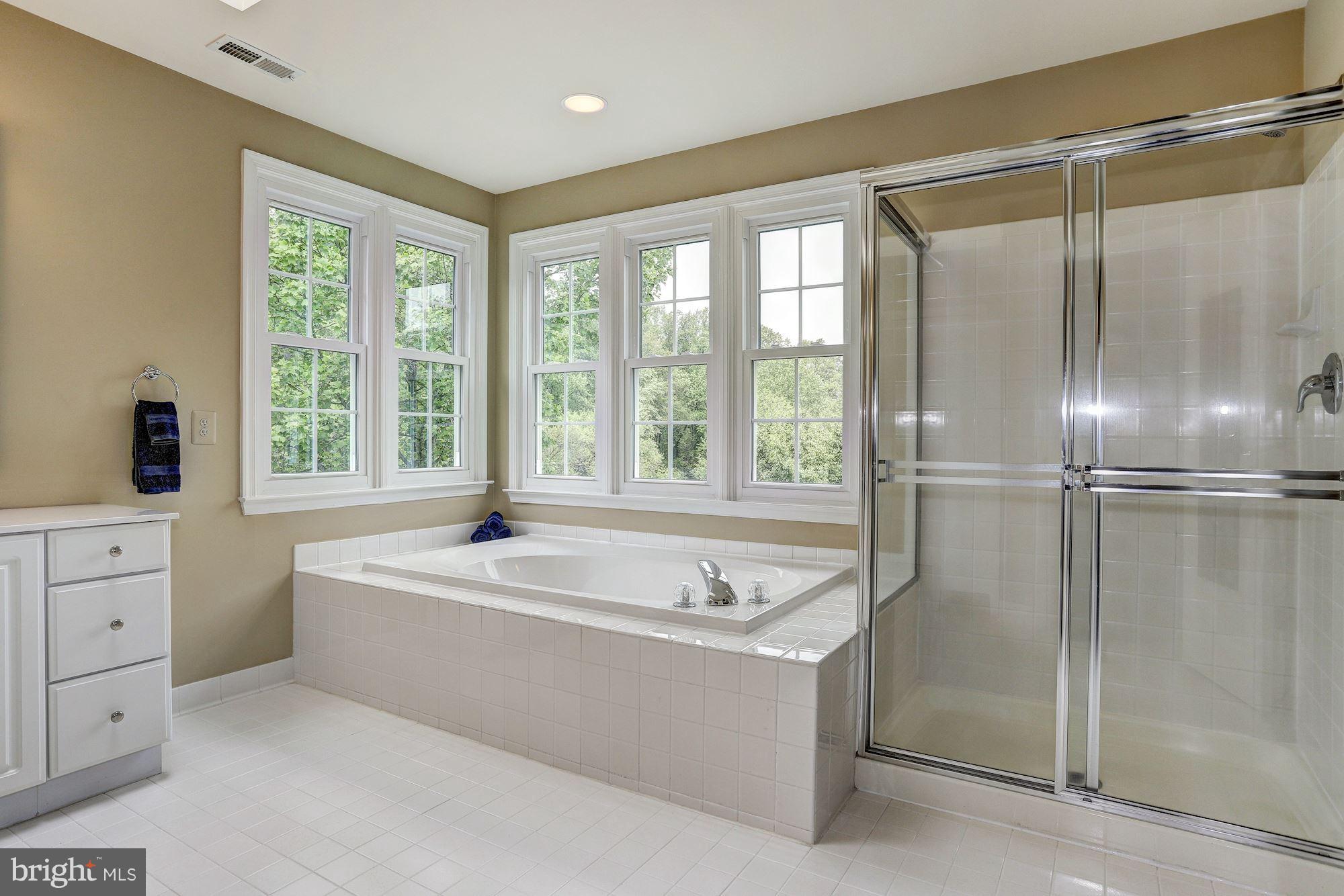 4524 Rutherford Way Dayton, MD 21036 - Photo 16 of 30 Master Suite Bath