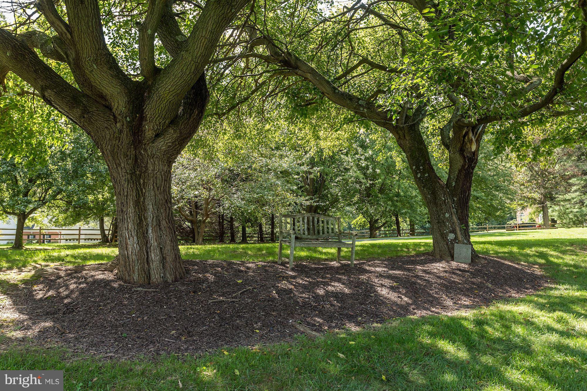4524 Rutherford Way Dayton, MD 21036 - Photo 27 of 30 Landscaped Grounds