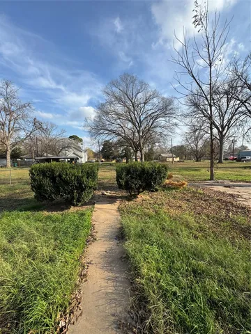 a view of a yard with plants and large trees