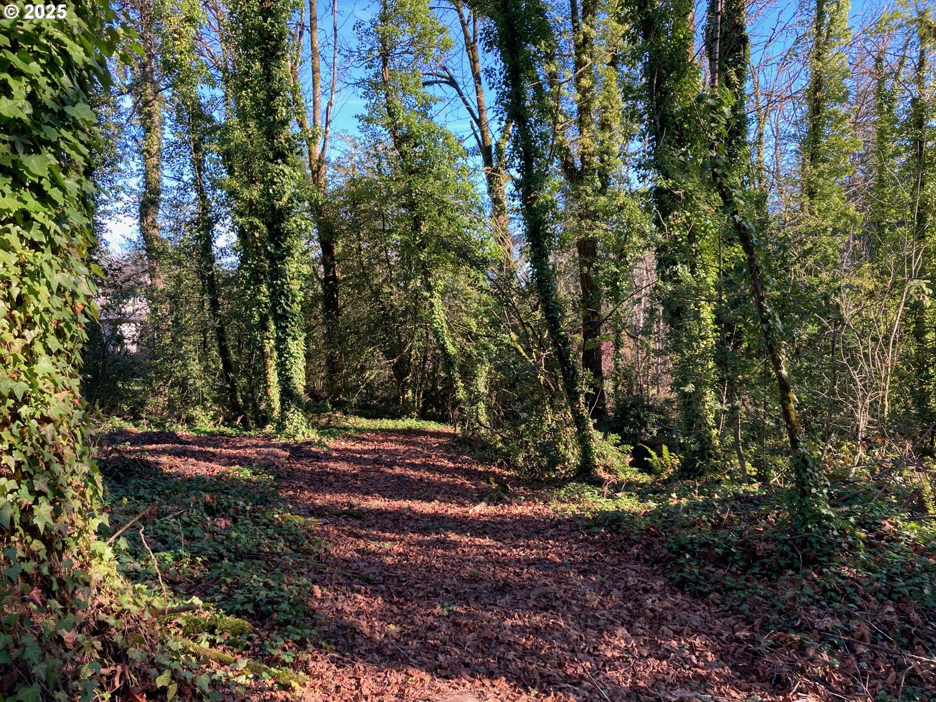 13882 Knaus Road Lake Oswego, OR 97034 - Photo 13 of 13