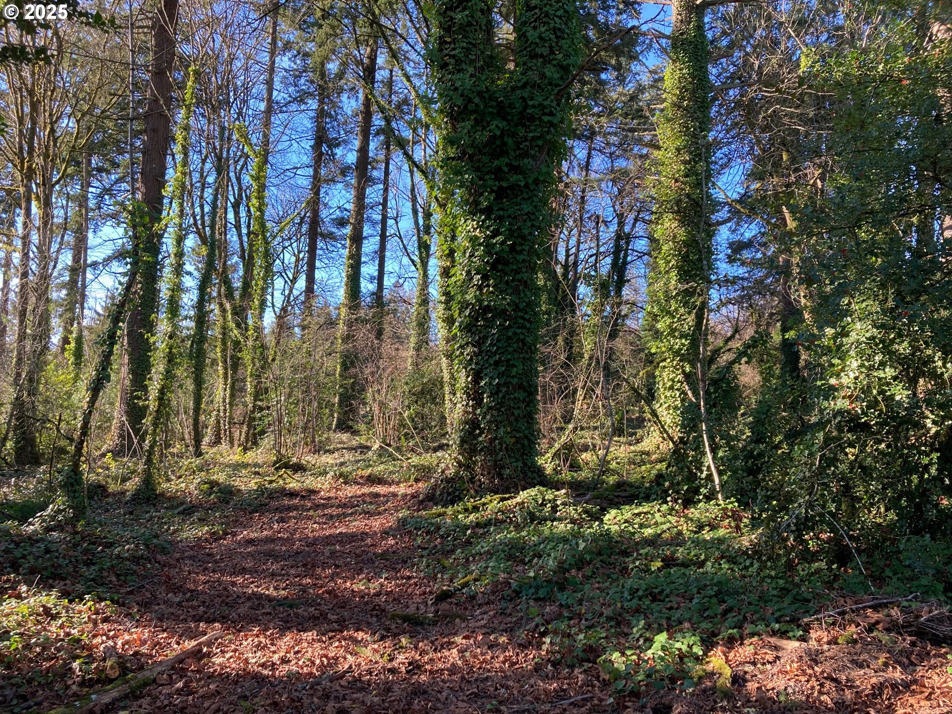 13882 Knaus Road Lake Oswego, OR 97034 - Photo 2 of 13 Approximate Property Lines