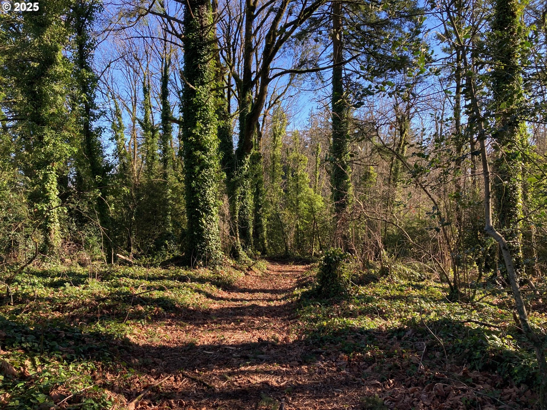 13882 Knaus Road Lake Oswego, OR 97034 - Photo 9 of 13