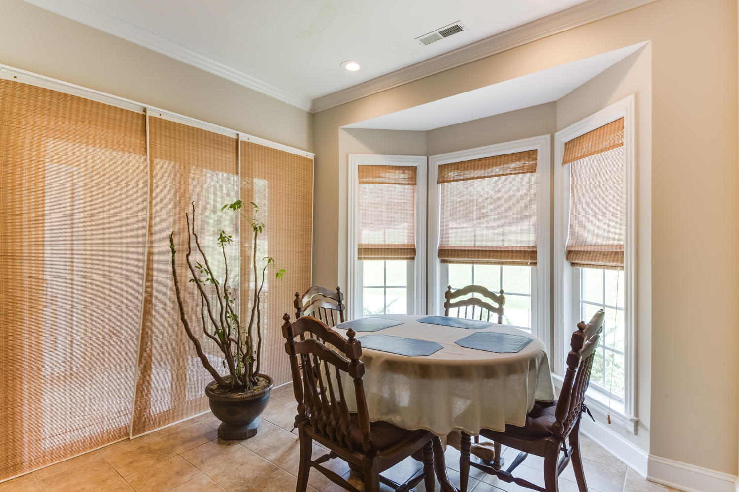 307 Renaissance Court Chattanooga, TN 37419 - Photo 11 of 47 307_Renaissance_Ct_13