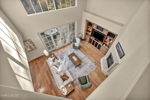 a view of a forest from a tree