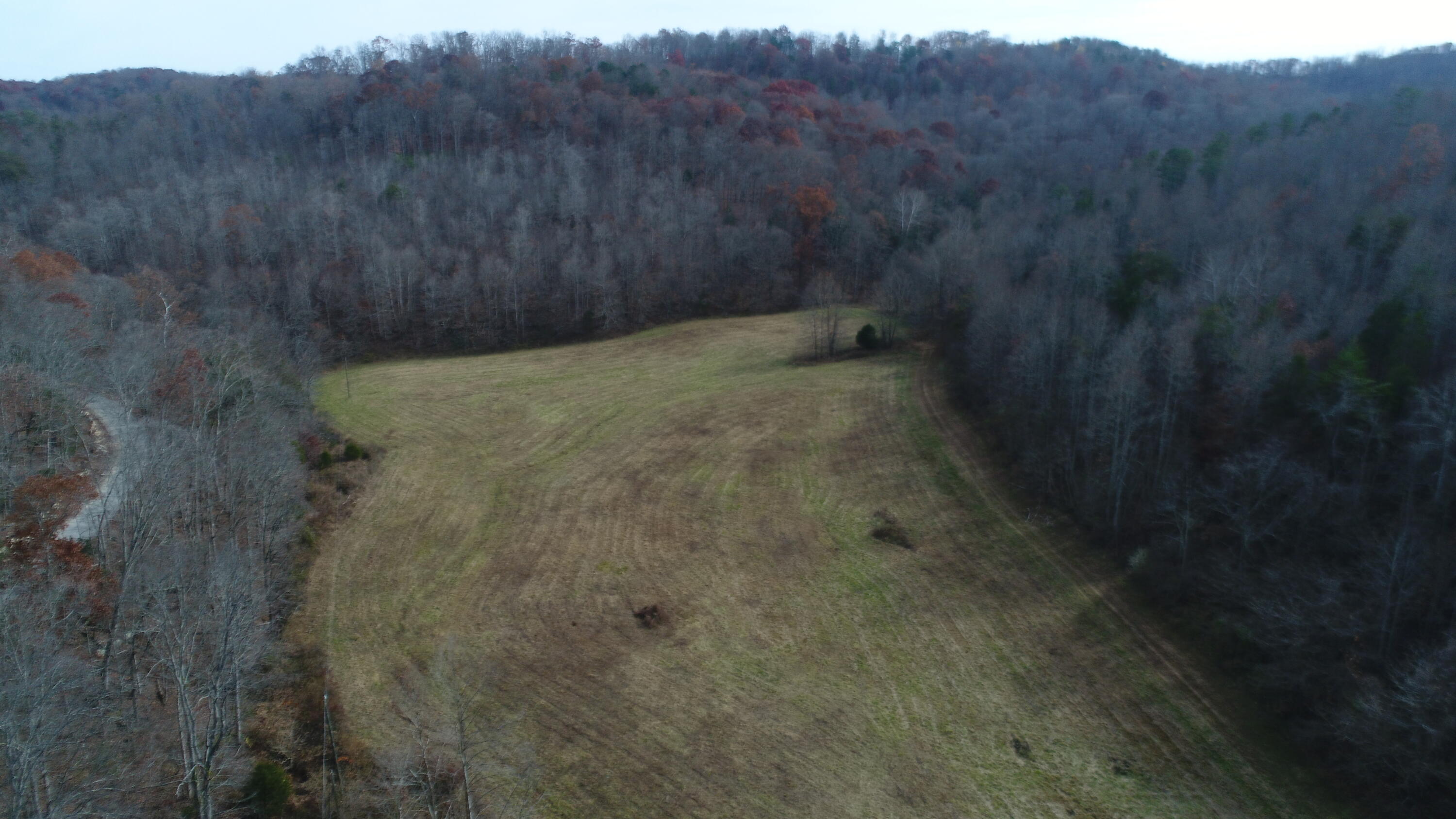 2499 Piney Grove Road Somerset, KY 42501 - Photo 8 of 34 DJI_0016