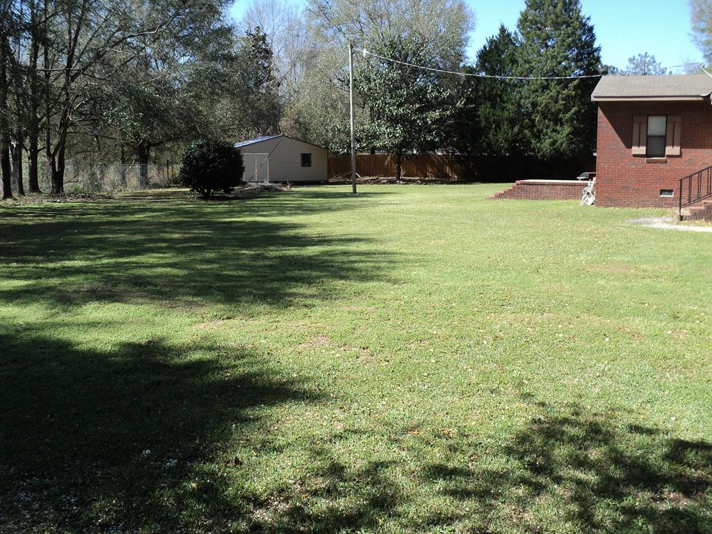 74 Kitetown Loop Seale, AL 36875 - Photo 20 of 28 a front view of a house with a yard and trees
