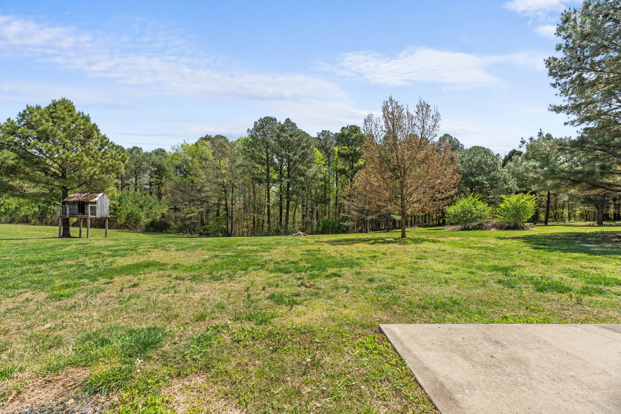 288 Blackey Bandy Road Bethpage, TN 37022 - Photo 24 of 28 Gallery Image 24