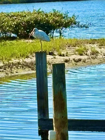 $250,000 | 75 Ocean Palm Villa South, Unit 75, Flagler Beach, FL 32136