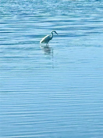 $250,000 | 75 Ocean Palm Villa South, Unit 75, Flagler Beach, FL 32136