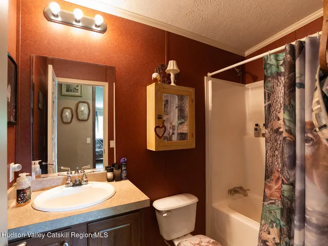 a bathroom with a sink vanity mirror and toilet