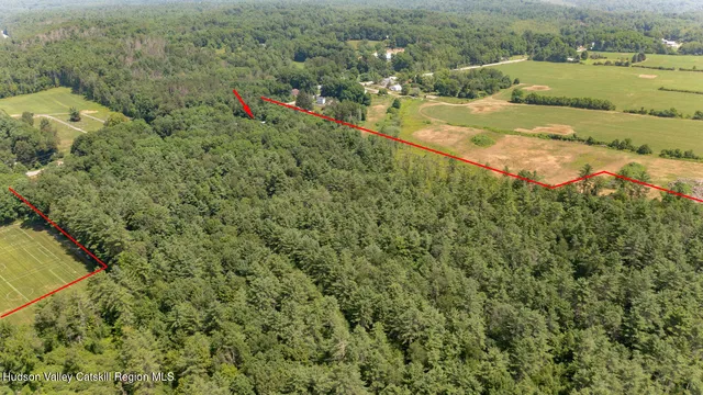 a fire hydrant in the middle of a field