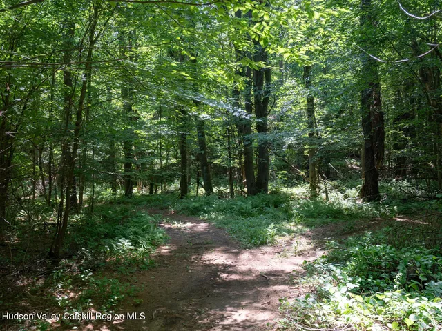 a view of outdoor space and green space