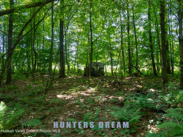 a view of outdoor space and green space