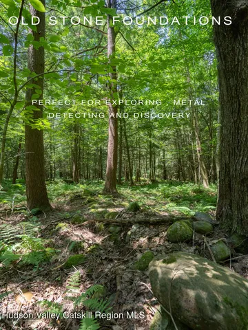 a view of outdoor space with trees