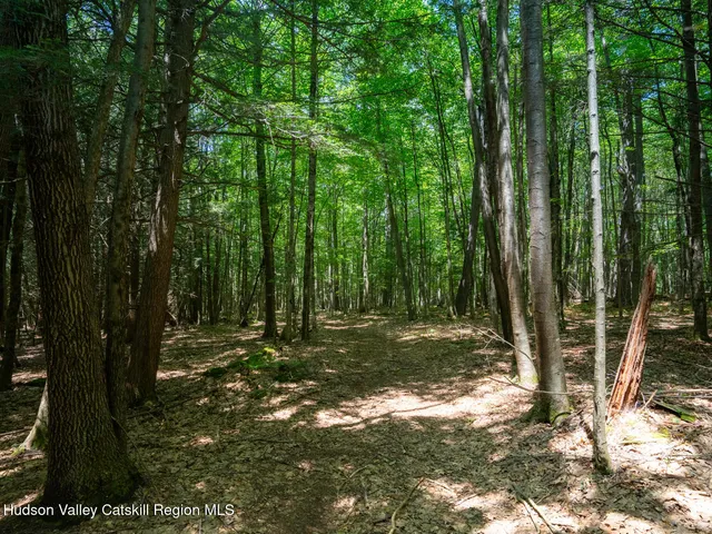 a view of a green yard
