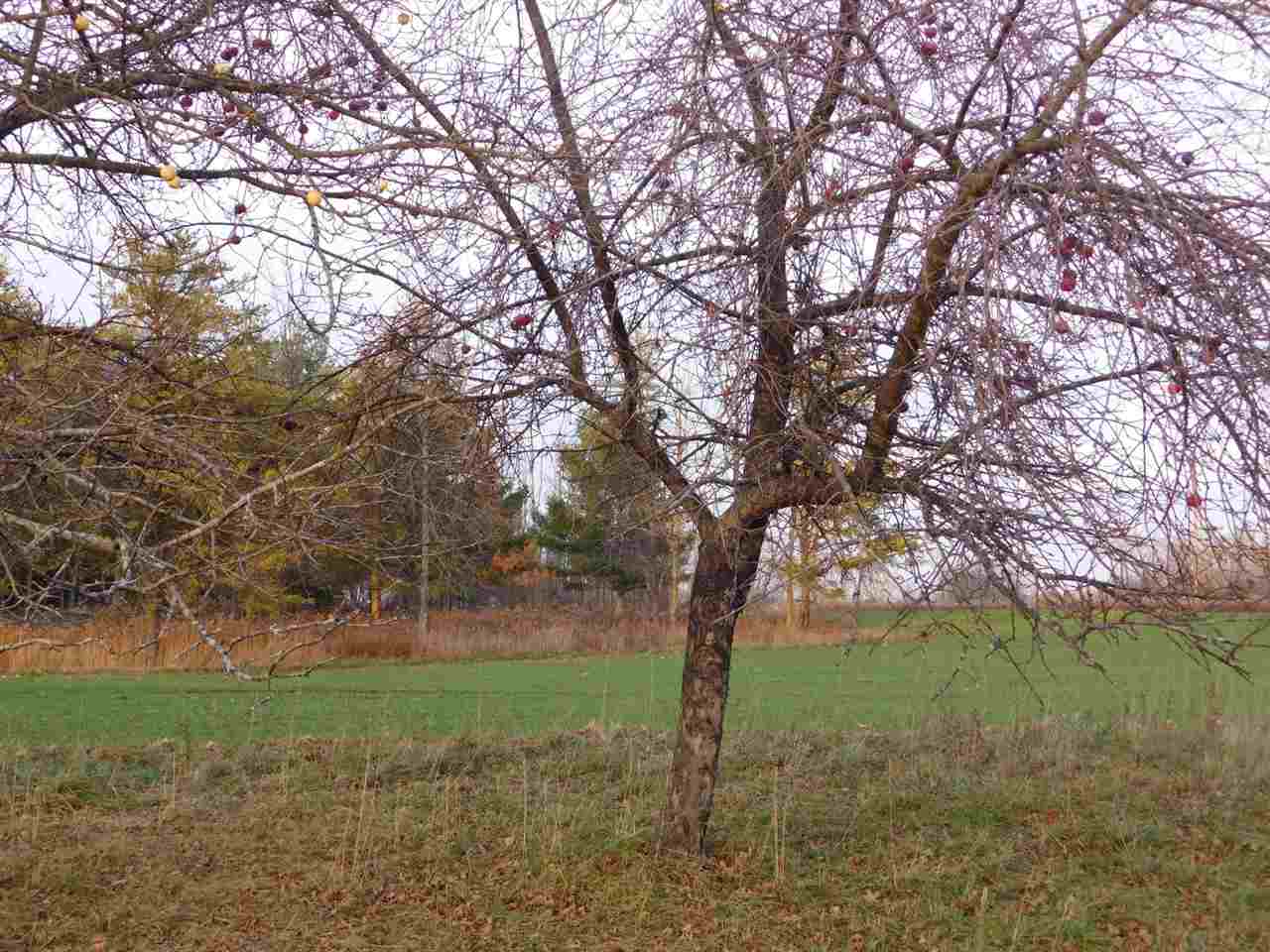 4372 Clark Road Prescott, MI 48756 - Photo 39 of 39 1882036-38.JPG