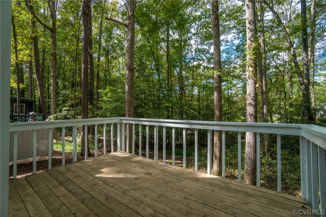 3004 3 Bridges Road Midlothian, VA 23112 - Photo 34 of 38 Gallery Image 34